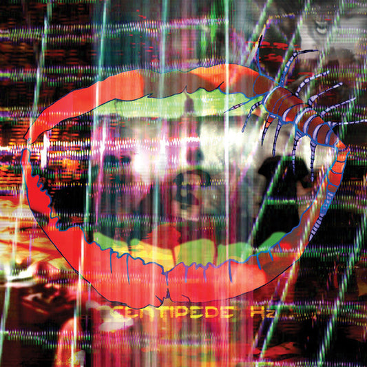Animal Collective - Centipede Hz (2xLP, Album, Gat)