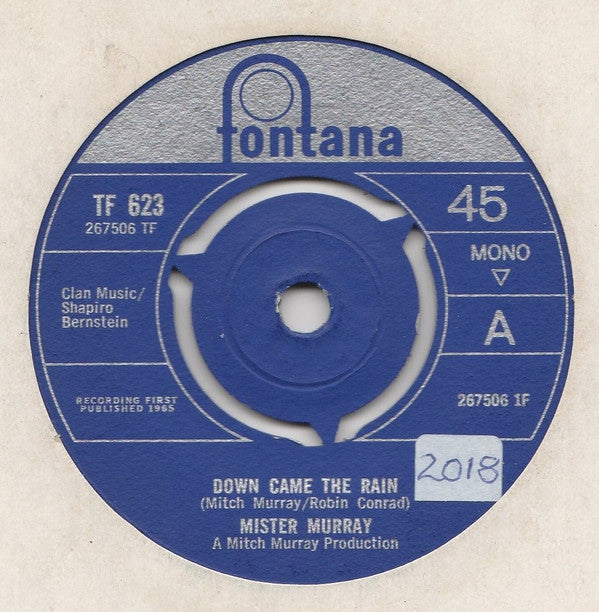 Mister Murray - Down Came The Rain (7", Single)