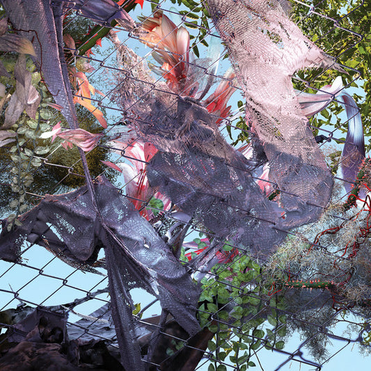 Kingdom (6) - Tears In The Club (CD, Album)