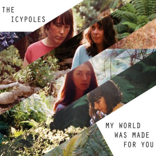 The Icypoles - My World Was Made For You (CD, Album)