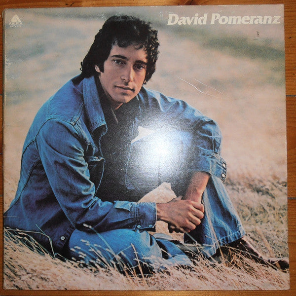 David Pomeranz - It's In Everyone Of Us (LP, Album, Gat)