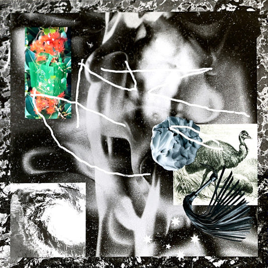 No Zu - Afterlife (LP, Album)