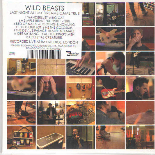 Wild Beasts - Last Night All My Dreams Came True (CD, Album, Car)