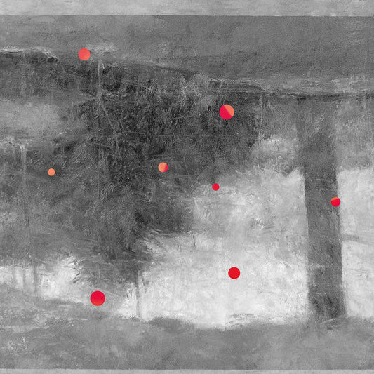 Modern Studies And Tommy Perman - Emergent Slow Arcs (LP, Album, Ltd)