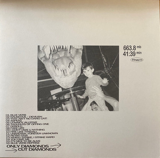 Vegyn - Only Diamonds Cut Diamonds (2xLP, Album, RP)