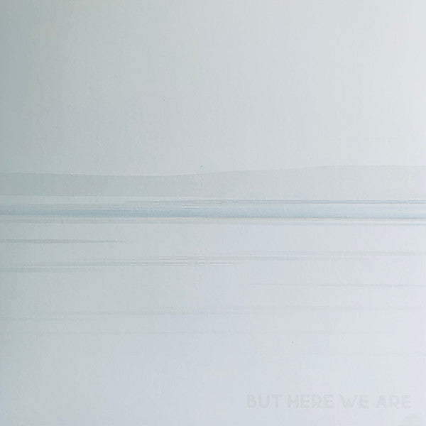 Foo Fighters - But Here We Are (LP, Album)