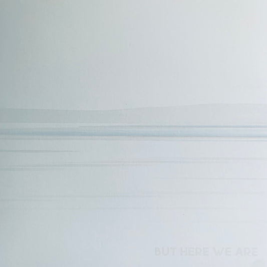 Foo Fighters - But Here We Are (LP, Album)