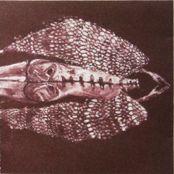 Cerberus Shoal - Homb (2xLP)