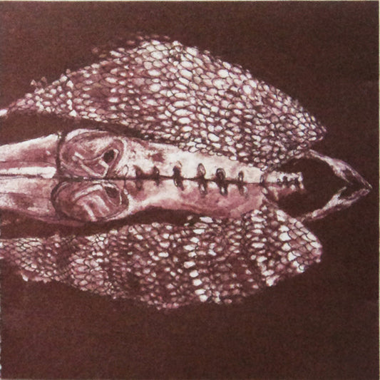 Cerberus Shoal - Homb (2xLP)