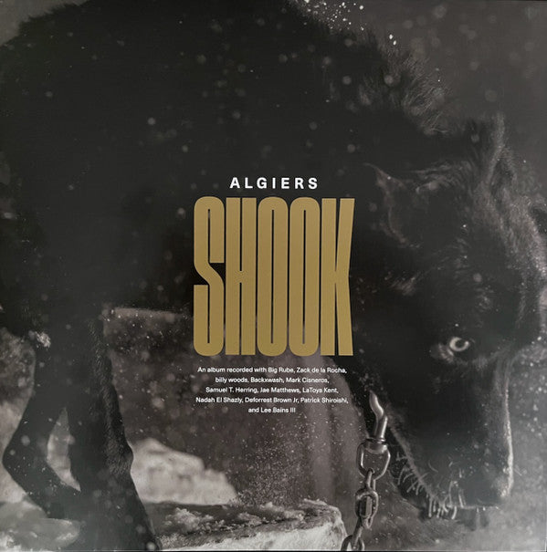 Algiers (2) - Shook (2xLP, Album)