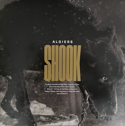 Algiers (2) - Shook (2xLP, Album)