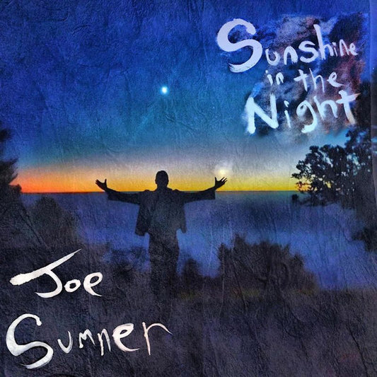 Joe Sumner - Sunshine In The Night (LP, Album)