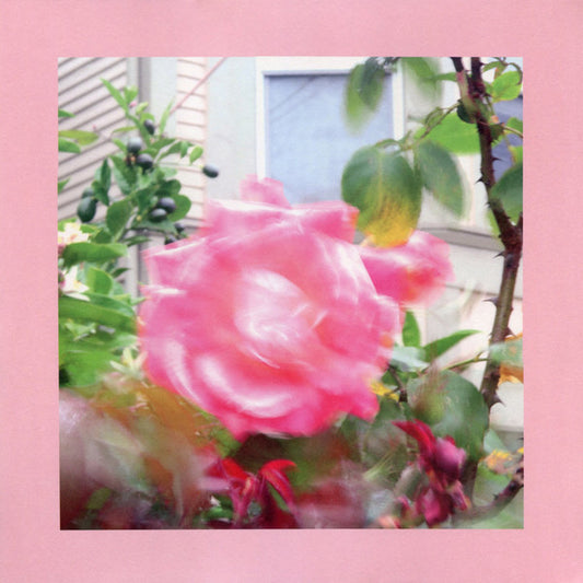 The Reds, Pinks & Purples* - Summer At Land's End (LP, Album, Ltd, Gre)