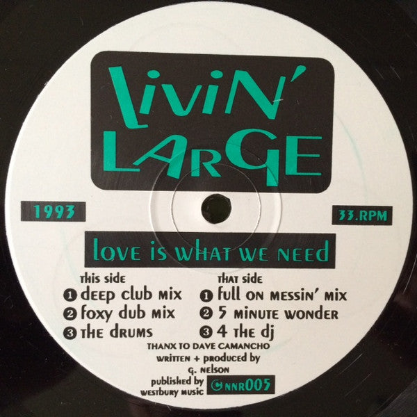 Livin' Large - Love Is What We Need (12")