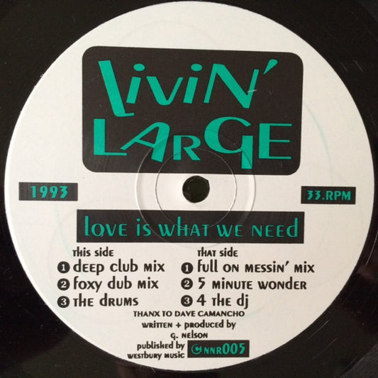 Livin' Large - Love Is What We Need (12")
