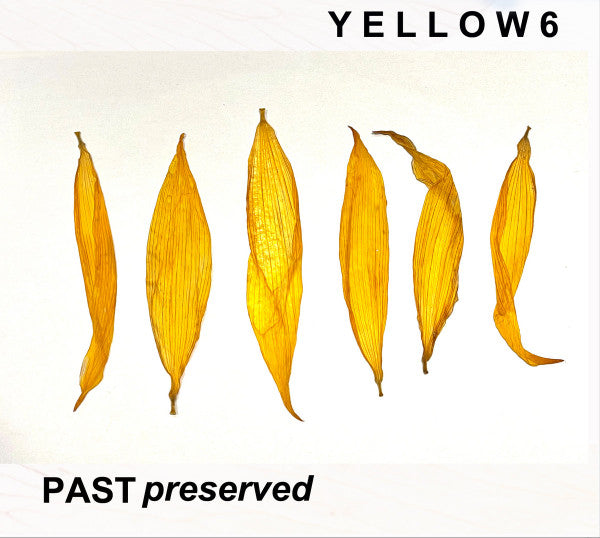 Yellow6 - Past Preserved (LP, Yel)