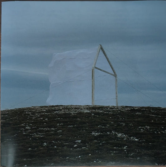 For Those I Love - Carving The Stone (CD, Album)