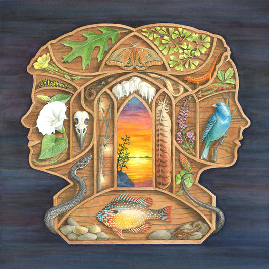 The Other Years - The Other Years (LP, Album)