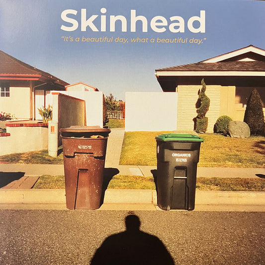 Skinhead - It's A Beautiful Day, What A Beautiful Day (LP, Ora)