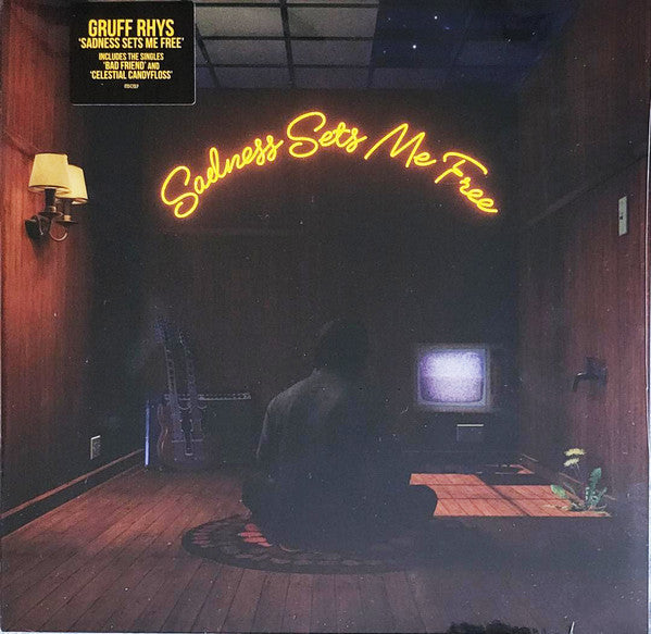 Gruff Rhys - Sadness Sets Me Free (LP, Album)