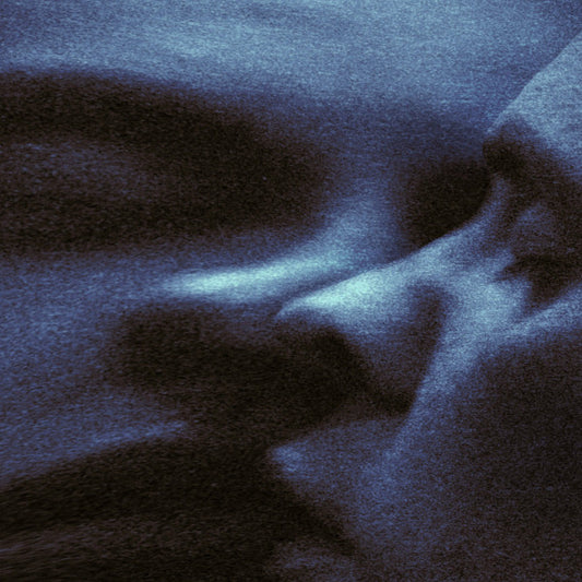 Puma Blue - Croak Dream (LP, Album, Dee)