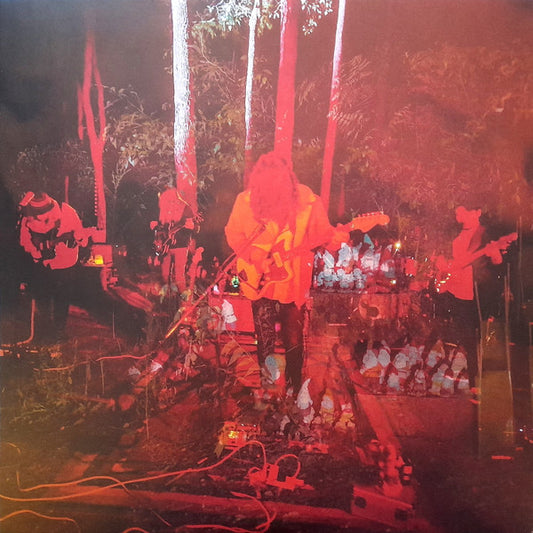 Psychedelic Porn Crumpets - Levitation Sessions (LP, Album, Ltd, Neo)