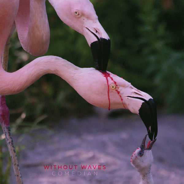 Without Waves - Comedian (CD, Album)