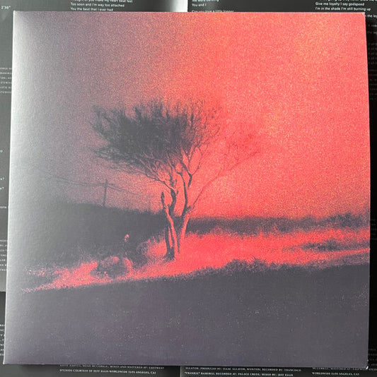 Joji - Piss In The Wind (LP, Album)