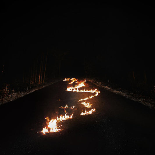 Bob Moses (5) - Battle Lines (2xLP, Album, 180)