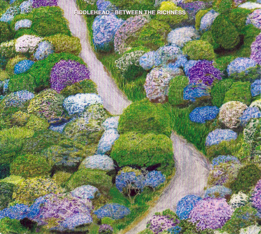 Fiddlehead (2) - Between The Richness (CD, Album)