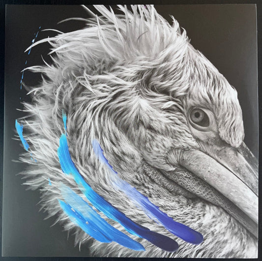 LIES (16) - Lies (LP, Album, Ltd, Sil)