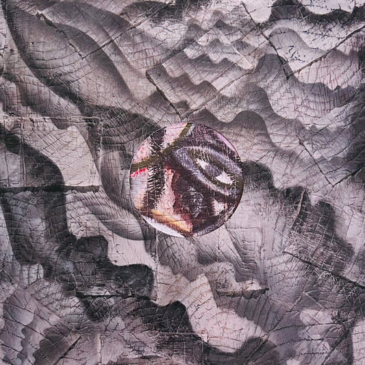 Hypnotic Brass Ensemble - This Is A Mindfulness Drill (LP, Album, Bla)