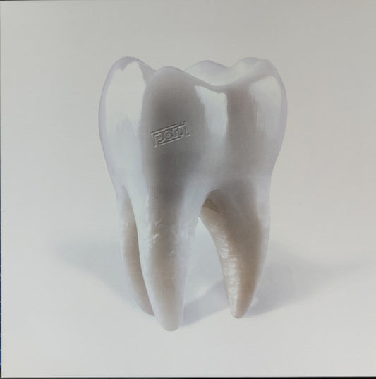 Porij - Teething (LP, Album)
