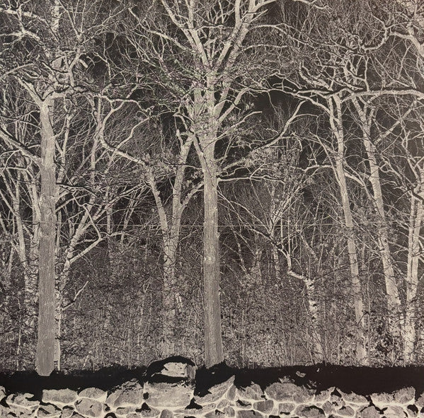Pile (2) - Sunshine and Balance Beams (LP, Album, Tra)