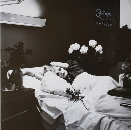 Antony And The Johnsons - I Am A Bird Now (LP, Album, RE)