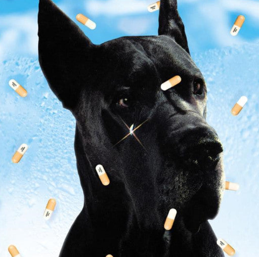 The Wombats - Bee-Sting (7", Single, Ltd, Cle)