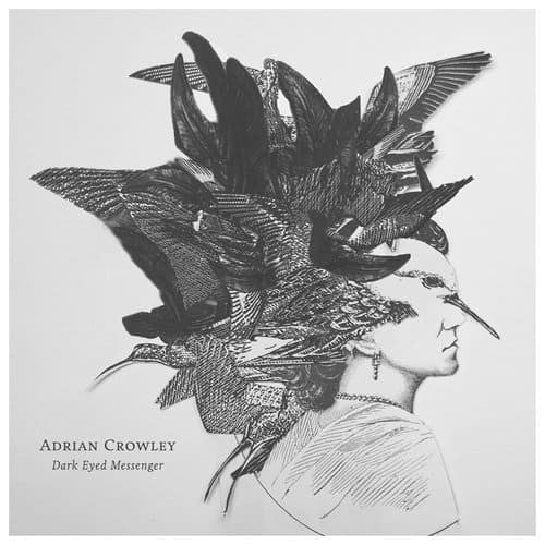 Adrian Crowley - Dark Eyed Messenger (CD, Album)