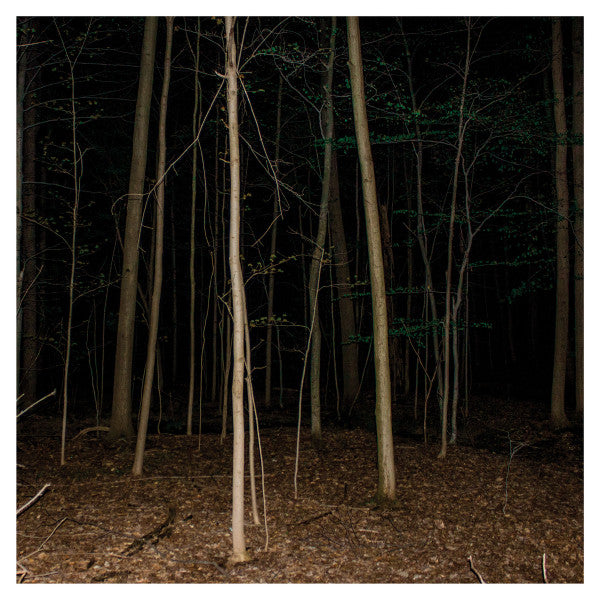Express Rising - Fixed Rope (CD, Album)