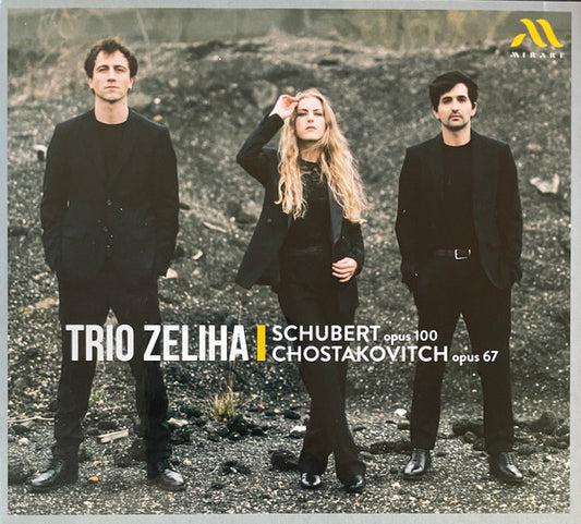Schubert*, Chostakovitch*, Trio Zeliha - Op.100 / Op.67 (CD, Album)