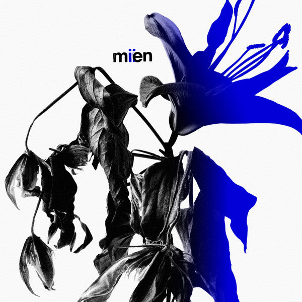 MIEN (2) - MIIEN (CD)