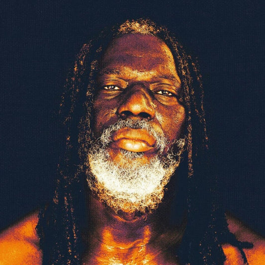 Tiken Jah Fakoly - Braquage De Pouvoir (CD)