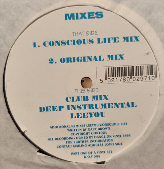 Conscious Life - Fly (12")