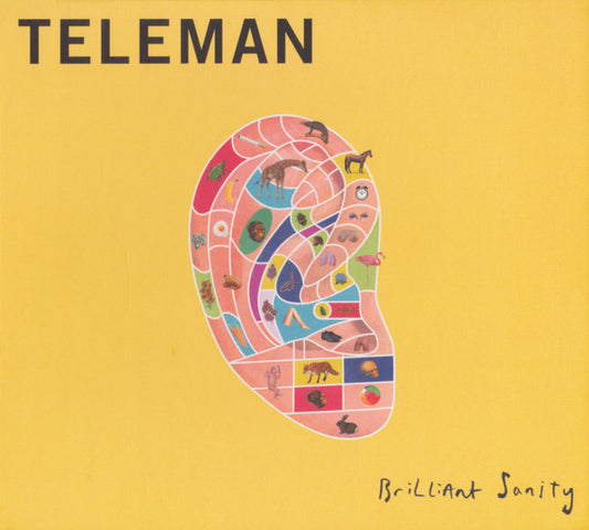 Teleman - Brilliant Sanity (CD, Album)