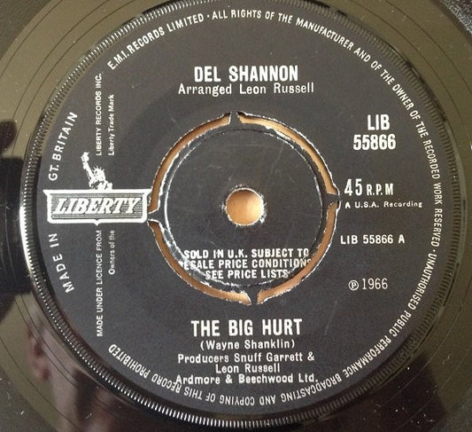 Del Shannon - The Big Hurt / I Got It Bad (7", Single)