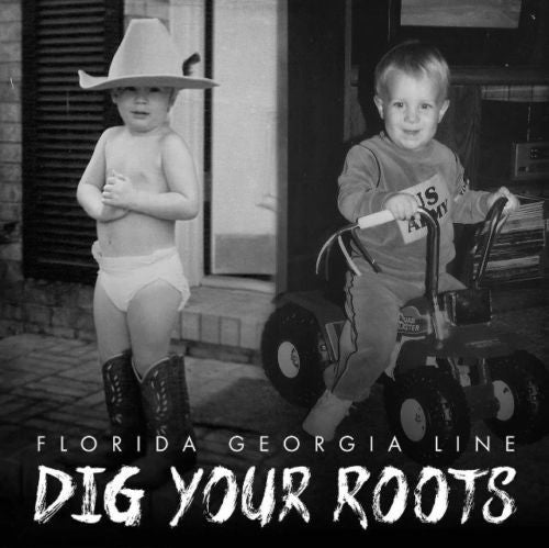 Florida Georgia Line - Dig Your Roots (CD, Album)