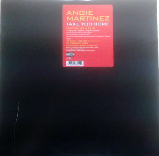 Angie Martinez - Take You Home (12")