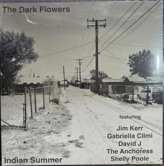 The Dark Flowers - Indian Summer (12", Album, Gat)