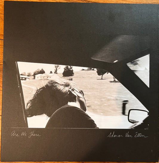 Sharon Van Etten - Are We There (LP, Album, Ann)