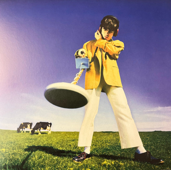 Declan McKenna - What Happened to the Beach? (LP, Album)