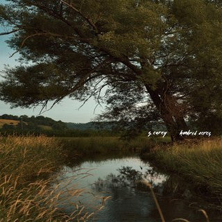 S. Carey (2) - Hundred Acres  (LP, Album)